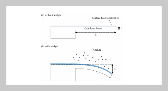A Hydrogen Sensor Based on Pd-Functionalized Microcantilever with Surface Design