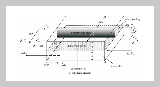 Numerical Analysis of Mass Transfer in Countercurrently Parallel-Flow Rectangular Dialyzer with Internal Recycle for Improved Performance
