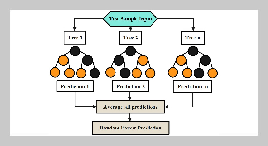 Optimization-Driven Cost Estimation in House Construction: A Predictive Modeling Approach Using Fruit Fly Optimization Algorithm