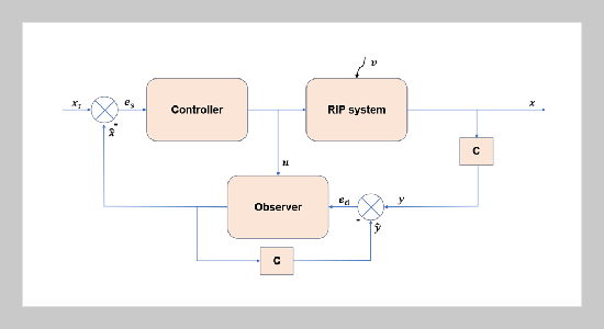 Takagi-Sugeno Model-Based Control with Observer Design for Disturbance Rejection and Input Constraints in Rotary Inverted Pendulum Systems