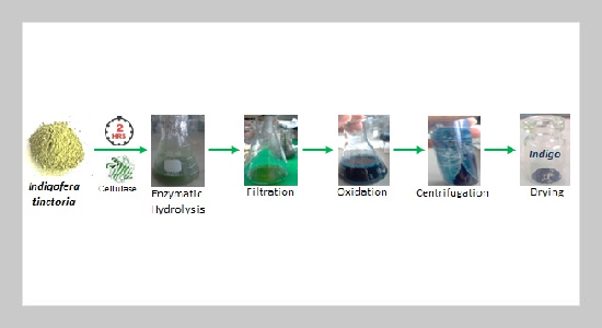 Process Intensification and Optimization of Bio-Indigo Production from Indigofera tinctoria using Trichoderma Cellulase