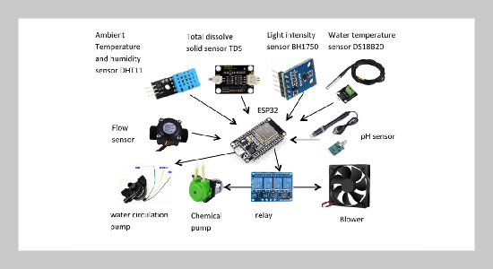 Investigating the Optimal Flow Rate for Hydroponic Plants Using IoT and the Decision Tree Model