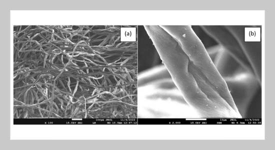 Bagasse ash geopolymer mortar containing limestone dust and water hyacinth fiber