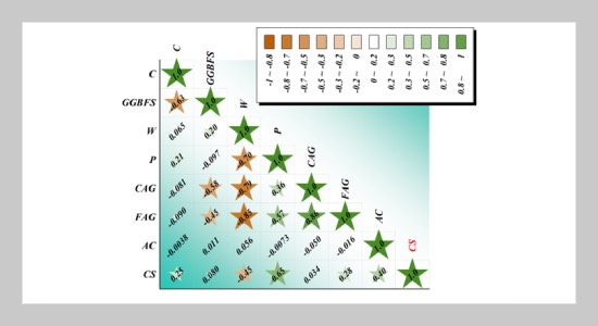 Hybrid Honey Badger-Based Model on Concrete with Ground Granulated Blast-Furnace Slag