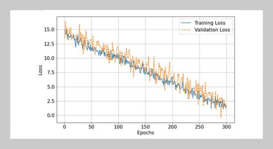 Recidivism Prediction: A Novel Machine Learning-based Imbalanced Learning Method Combined with the Differential Equation Algorithm