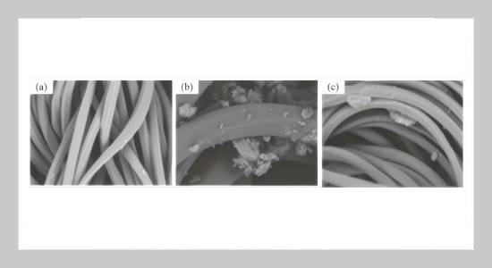 Optimization and Biodegradability of High-Strength Polyamide Fiber Process