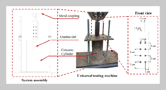 Enhanced Bond Performance of Guadua-Reinforced Concrete Synergistic Effects of Epoxy Resin and Grooved Surface Treatments