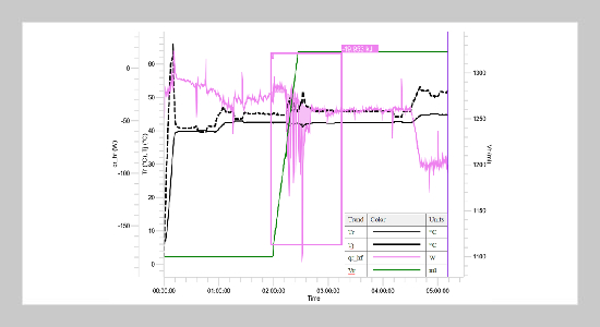 Reaction Kinetics and Simulation of Nonivamide Batch Reaction Process