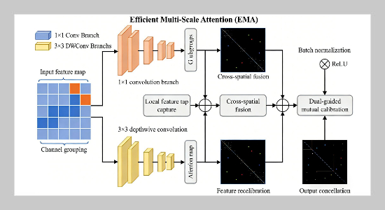 Efficient Feature Extraction with Multi-Scale Attention Mechanism: A Lightweight Deep Learning Framework for Image Classification